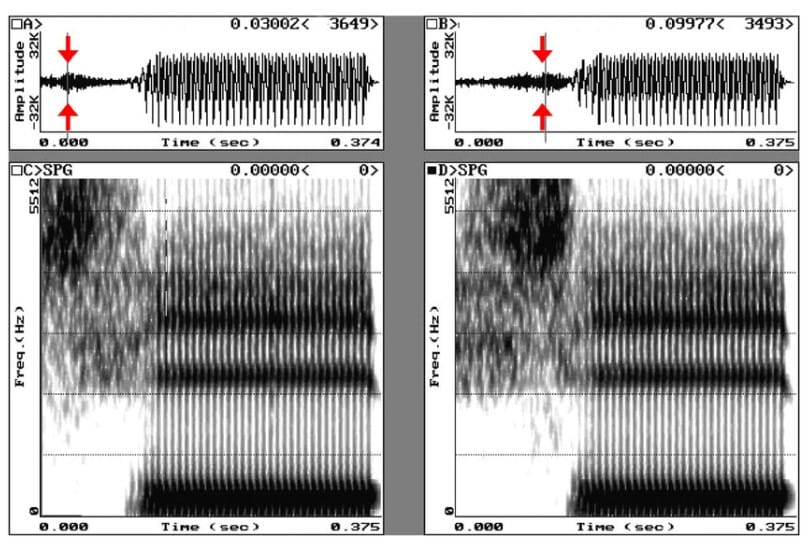 Are Affricate Resonant Consonants