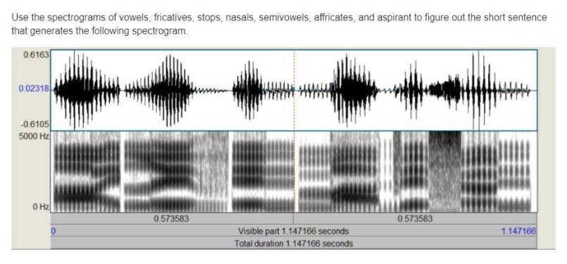 Are Affricate Resonant Consonants