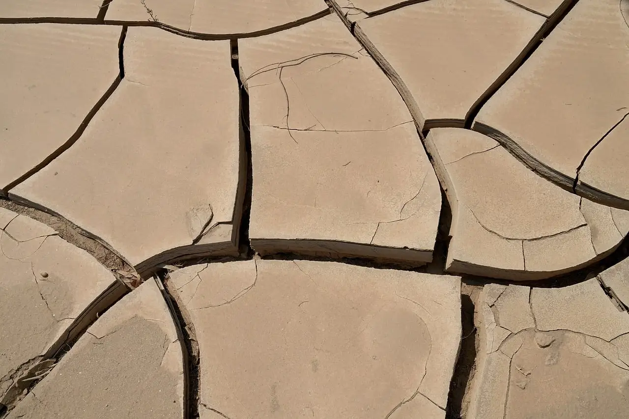 How heat and surface condition change the choice
